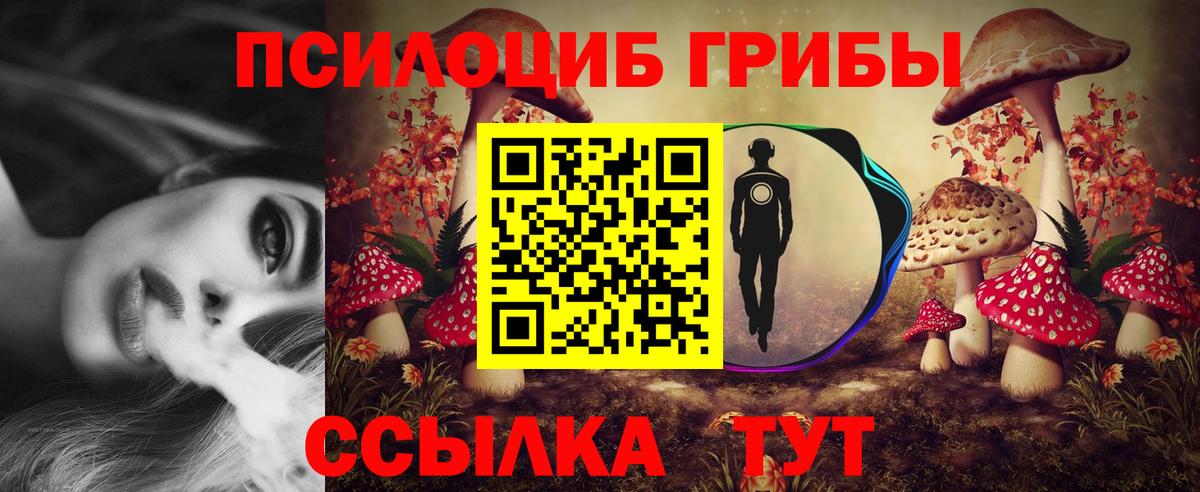 Псилоцибиновые грибы Psilocybe Зеленодольск